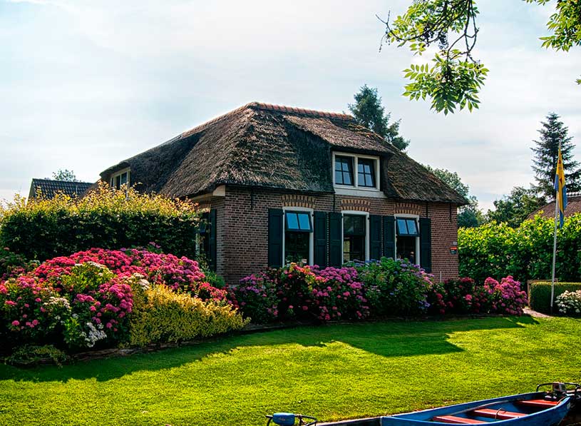 Modelo basico, casa de bosque con 2 ventanas laterales